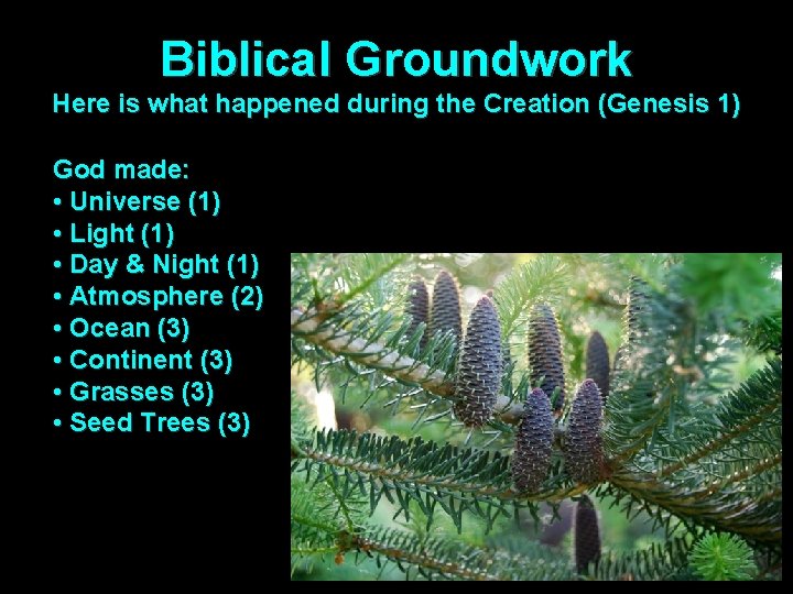Biblical Groundwork Here is what happened during the Creation (Genesis 1) God made: •