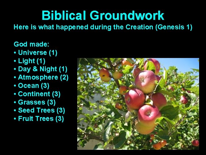Biblical Groundwork Here is what happened during the Creation (Genesis 1) God made: •