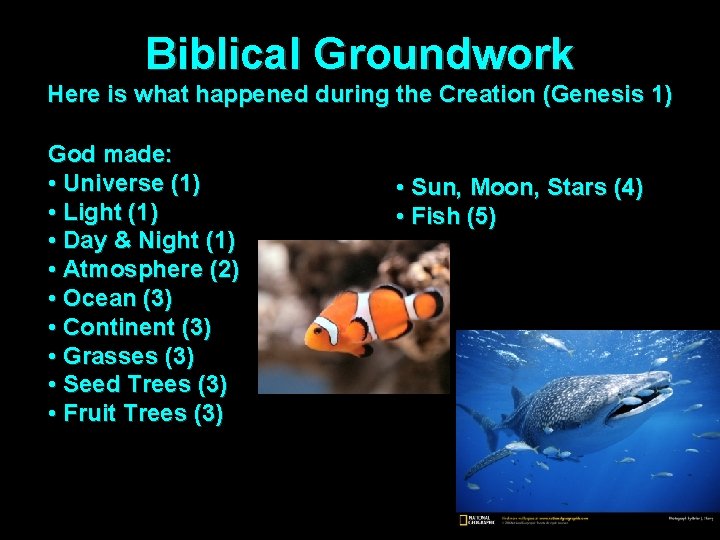 Biblical Groundwork Here is what happened during the Creation (Genesis 1) God made: •