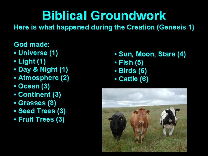 Biblical Groundwork Here is what happened during the Creation (Genesis 1) God made: •