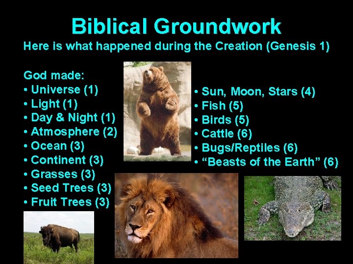 Biblical Groundwork Here is what happened during the Creation (Genesis 1) God made: •