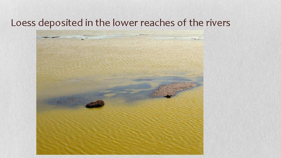 Loess deposited in the lower reaches of the rivers 