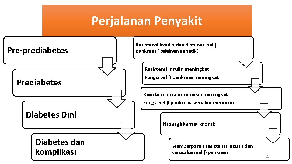 Perjalanan Penyakit Pre-prediabetes Prediabetes Resistensi Insulin dan disfungsi sel β pankreas (kelainan genetik) Resistensi