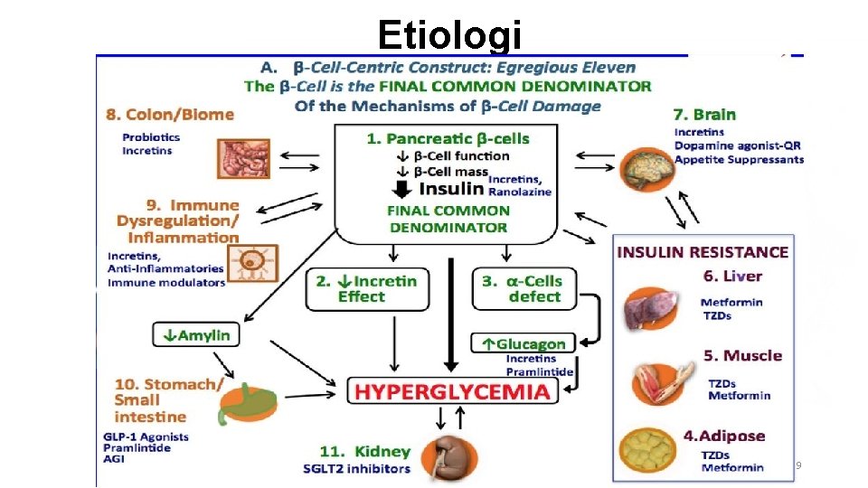 Etiologi 9 