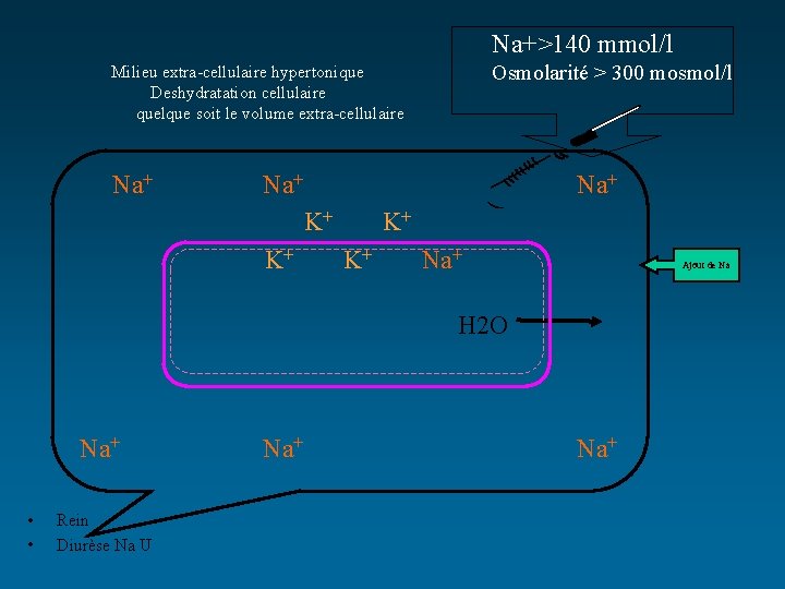 Na+>140 mmol/l Osmolarité > 300 mosmol/l Milieu extra-cellulaire hypertonique Deshydratation cellulaire quelque soit le