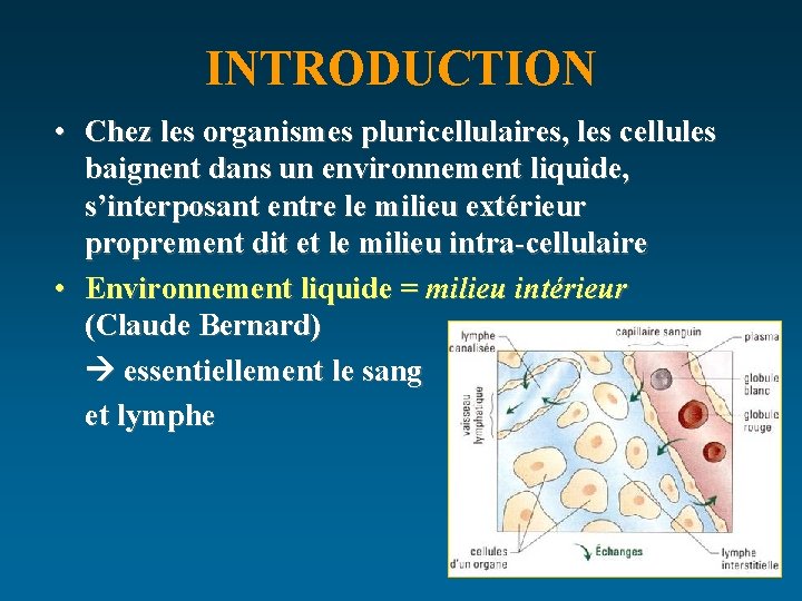 INTRODUCTION • Chez les organismes pluricellulaires, les cellules baignent dans un environnement liquide, s’interposant