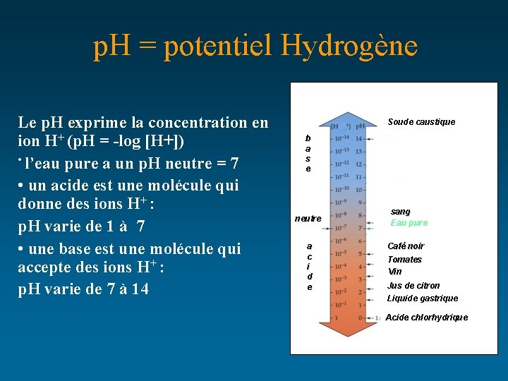 p. H = potentiel Hydrogène Le p. H exprime la concentration en ion H+