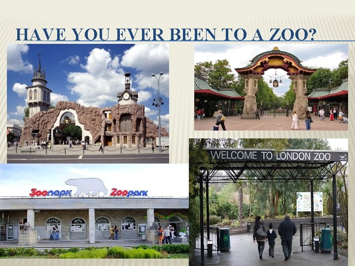 HAVE YOU EVER BEEN TO A ZOO? 