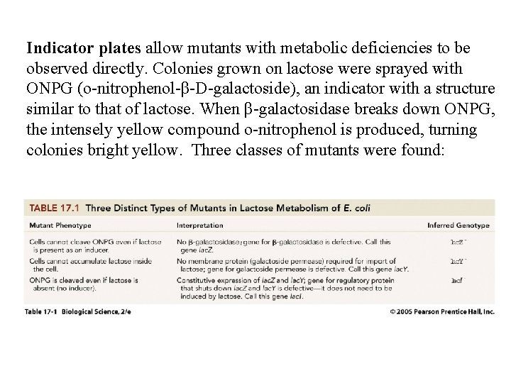 Indicator plates allow mutants with metabolic deficiencies to be observed directly. Colonies grown on Indicator plates allow mutants with metabolic deficiencies to be observed directly. Colonies grown on