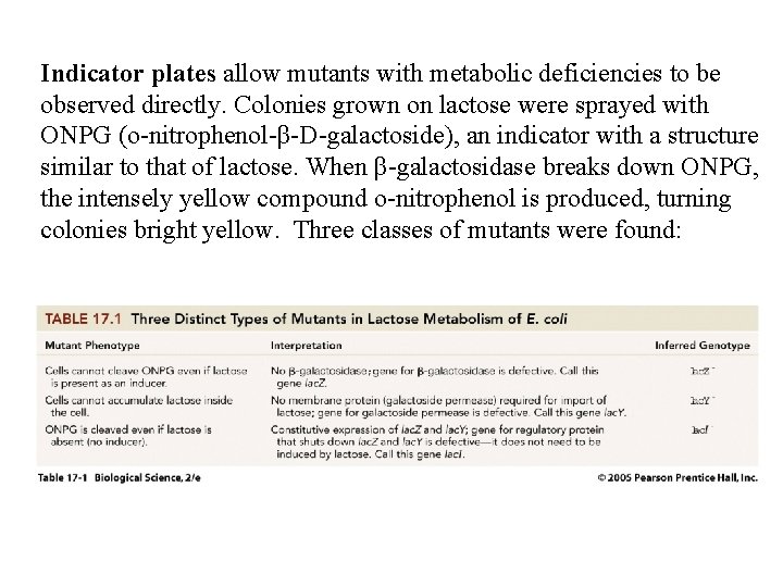 Indicator plates allow mutants with metabolic deficiencies to be observed directly. Colonies grown on