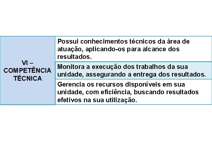 Possui conhecimentos técnicos da área de atuação, aplicando-os para alcance dos resultados. VI –