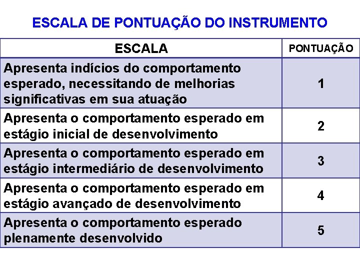 ESCALA DE PONTUAÇÃO DO INSTRUMENTO ESCALA Apresenta indícios do comportamento esperado, necessitando de melhorias