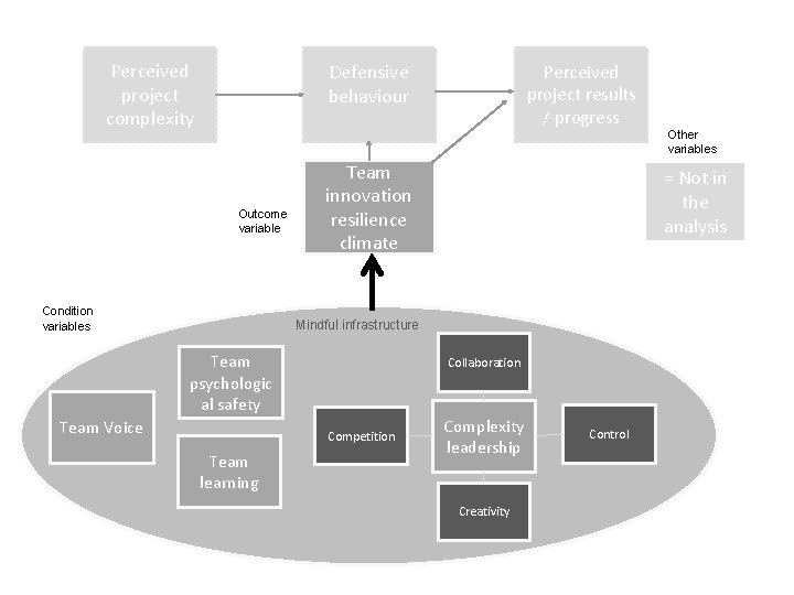 Perceived project complexity Defensive behaviour Outcome variable Condition variables Perceived project results / progress