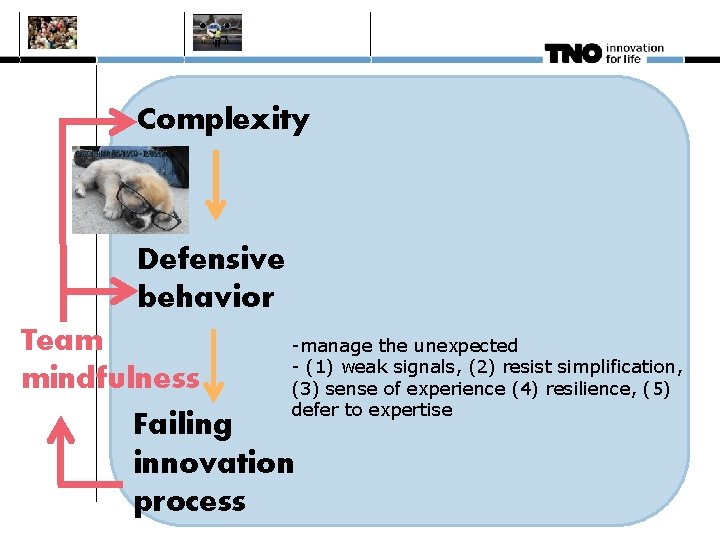 Complexity Defensive behavior Team -manage the unexpected - (1) weak signals, (2) resist simplification,