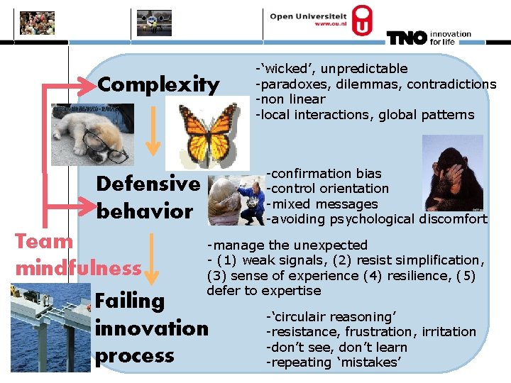 Complexity Defensive behavior -‘wicked’, unpredictable -paradoxes, dilemmas, contradictions -non linear -local interactions, global patterns