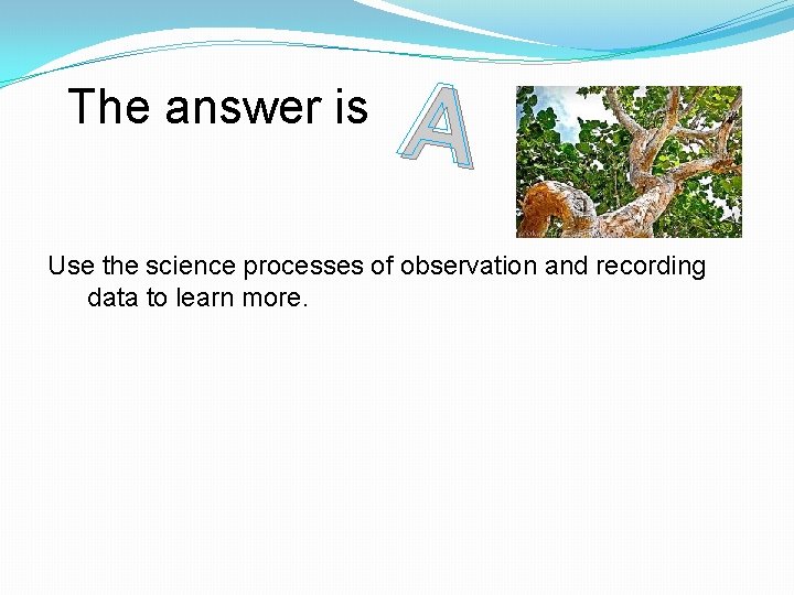 The answer is A Use the science processes of observation and recording data to