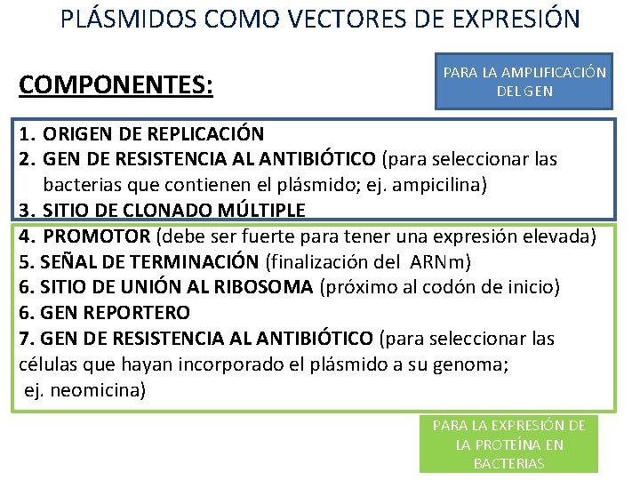 PLÁSMIDOS COMO VECTORES DE EXPRESIÓN COMPONENTES: PARA LA AMPLIFICACIÓN DEL GEN 1. ORIGEN DE