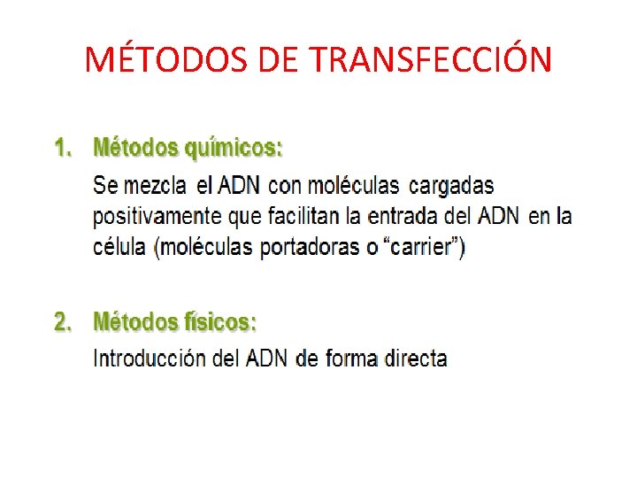 MÉTODOS DE TRANSFECCIÓN 