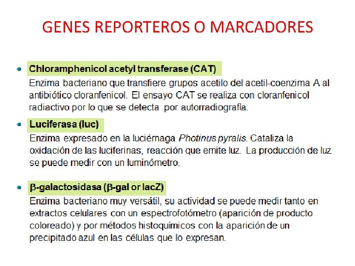 GENES REPORTEROS O MARCADORES 