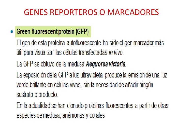 GENES REPORTEROS O MARCADORES 