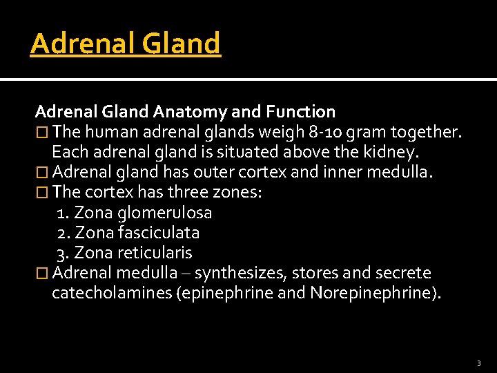 Adrenal Gland Anatomy and Function � The human adrenal glands weigh 8 -10 gram