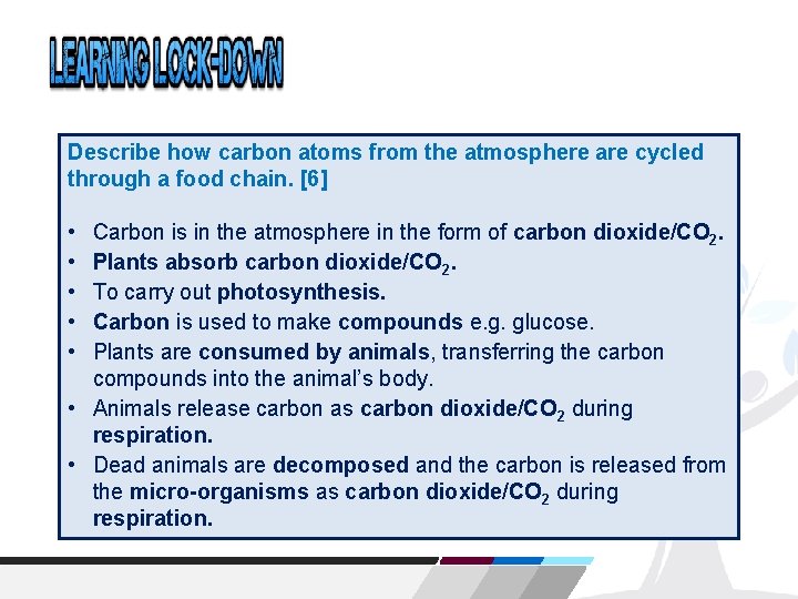Describe how carbon atoms from the atmosphere are cycled through a food chain. [6]