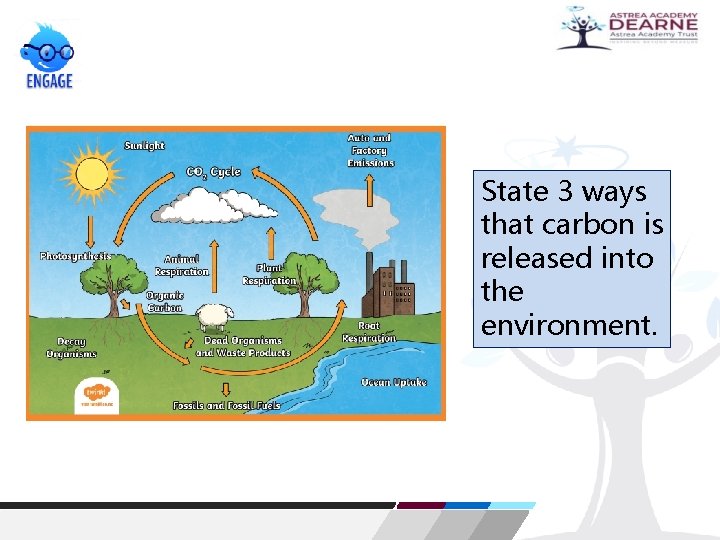State 3 ways that carbon is released into the environment. 