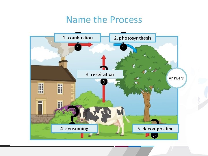 Name the Process ? ? 1. combustion 2. photosynthesis 1 2 ? 3. respiration