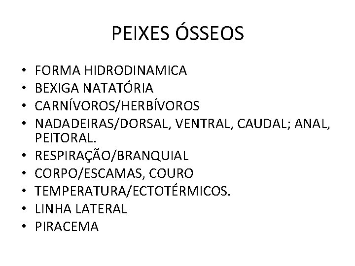 PEIXES ÓSSEOS • • • FORMA HIDRODINAMICA BEXIGA NATATÓRIA CARNÍVOROS/HERBÍVOROS NADADEIRAS/DORSAL, VENTRAL, CAUDAL; ANAL, PEIXES ÓSSEOS • • • FORMA HIDRODINAMICA BEXIGA NATATÓRIA CARNÍVOROS/HERBÍVOROS NADADEIRAS/DORSAL, VENTRAL, CAUDAL; ANAL,