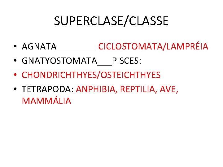 SUPERCLASE/CLASSE • • AGNATA____ CICLOSTOMATA/LAMPRÉIA GNATYOSTOMATA___PISCES: CHONDRICHTHYES/OSTEICHTHYES TETRAPODA: ANPHIBIA, REPTILIA, AVE, MAMMÁLIA SUPERCLASE/CLASSE • • AGNATA____ CICLOSTOMATA/LAMPRÉIA GNATYOSTOMATA___PISCES: CHONDRICHTHYES/OSTEICHTHYES TETRAPODA: ANPHIBIA, REPTILIA, AVE, MAMMÁLIA