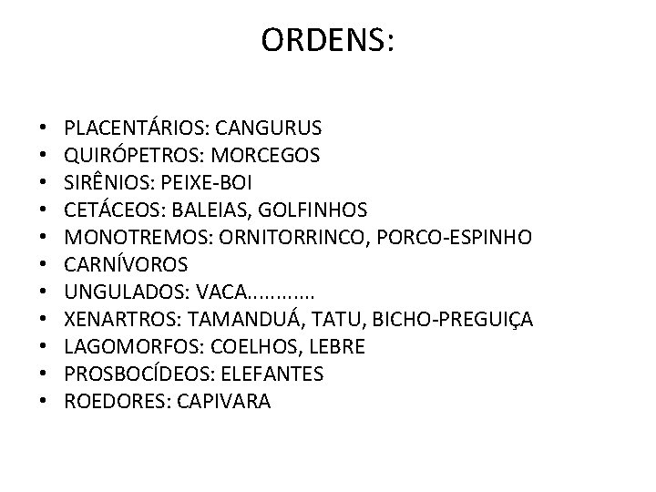 ORDENS: • • • PLACENTÁRIOS: CANGURUS QUIRÓPETROS: MORCEGOS SIRÊNIOS: PEIXE-BOI CETÁCEOS: BALEIAS, GOLFINHOS MONOTREMOS: ORDENS: • • • PLACENTÁRIOS: CANGURUS QUIRÓPETROS: MORCEGOS SIRÊNIOS: PEIXE-BOI CETÁCEOS: BALEIAS, GOLFINHOS MONOTREMOS: