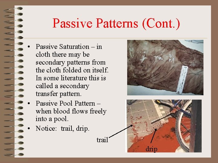 Passive Patterns (Cont. ) • Passive Saturation – in cloth there may be secondary Passive Patterns (Cont. ) • Passive Saturation – in cloth there may be secondary