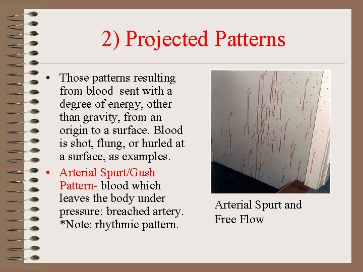 2) Projected Patterns • Those patterns resulting from blood sent with a degree of 2) Projected Patterns • Those patterns resulting from blood sent with a degree of