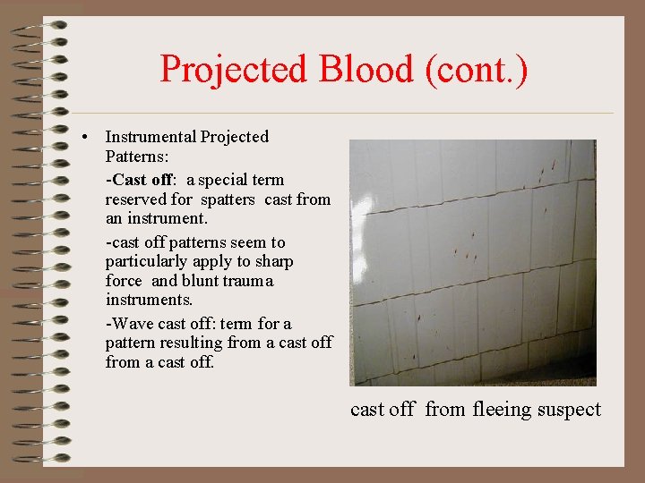 Projected Blood (cont. ) • Instrumental Projected Patterns: -Cast off: a special term reserved Projected Blood (cont. ) • Instrumental Projected Patterns: -Cast off: a special term reserved