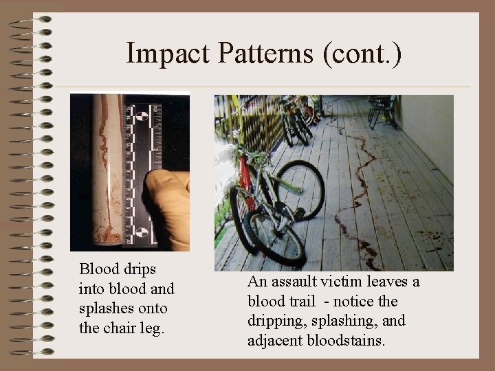Impact Patterns (cont. ) Blood drips into blood and splashes onto the chair leg. Impact Patterns (cont. ) Blood drips into blood and splashes onto the chair leg.