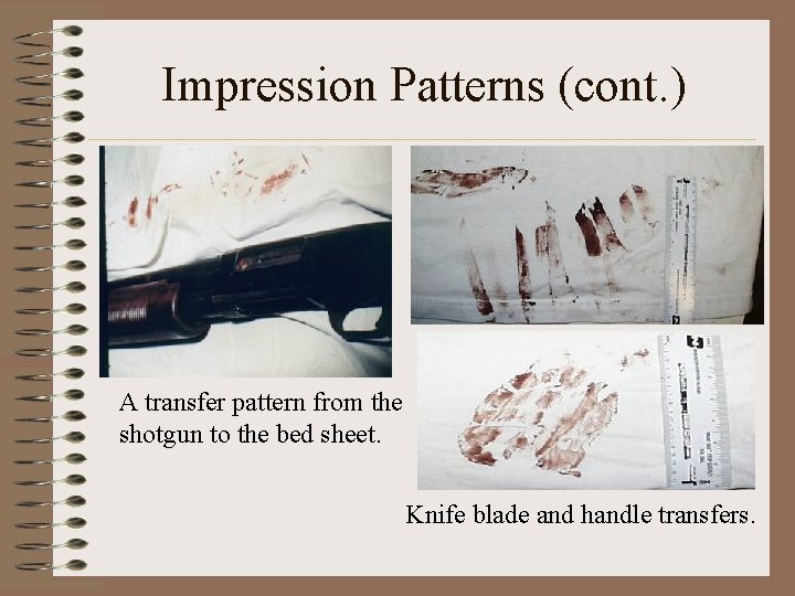 Impression Patterns (cont. ) A transfer pattern from the shotgun to the bed sheet. Impression Patterns (cont. ) A transfer pattern from the shotgun to the bed sheet.