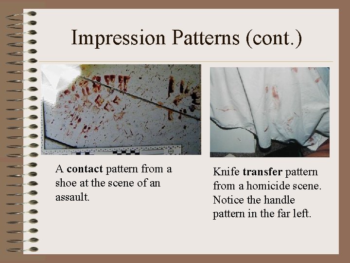 Impression Patterns (cont. ) A contact pattern from a shoe at the scene of Impression Patterns (cont. ) A contact pattern from a shoe at the scene of