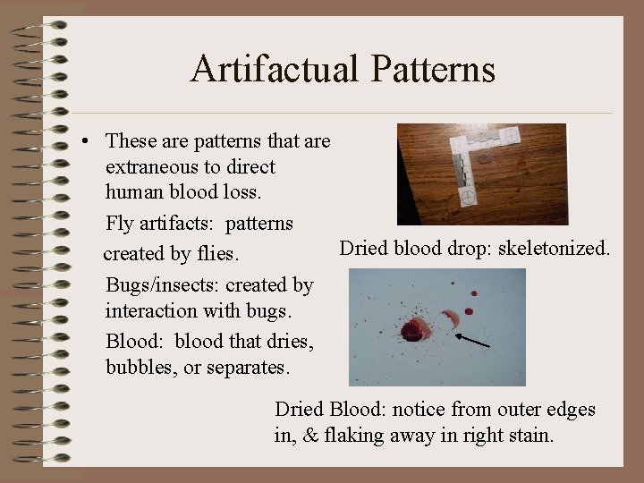 Artifactual Patterns • These are patterns that are extraneous to direct human blood loss. Artifactual Patterns • These are patterns that are extraneous to direct human blood loss.