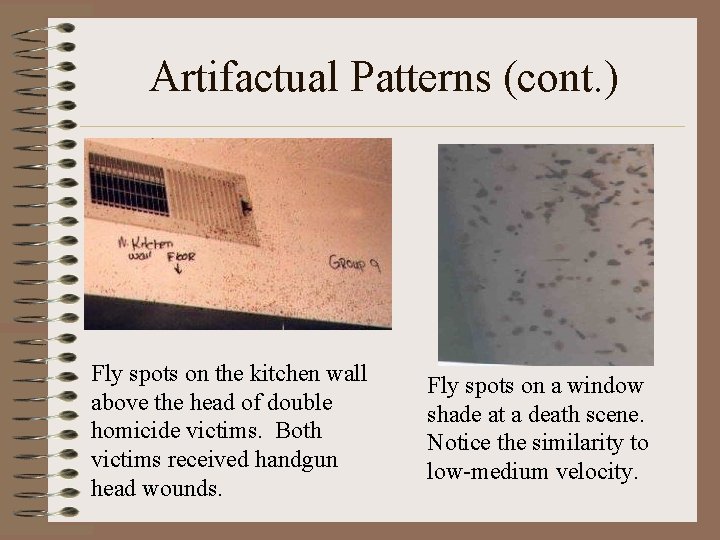 Artifactual Patterns (cont. ) Fly spots on the kitchen wall above the head of Artifactual Patterns (cont. ) Fly spots on the kitchen wall above the head of