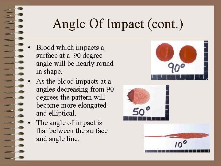 Angle Of Impact (cont. ) • Blood which impacts a surface at a 90 Angle Of Impact (cont. ) • Blood which impacts a surface at a 90