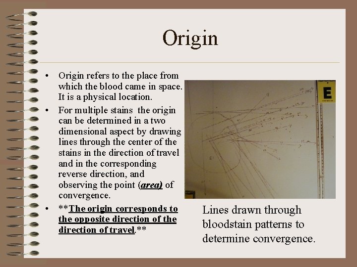 Origin • Origin refers to the place from which the blood came in space. Origin • Origin refers to the place from which the blood came in space.