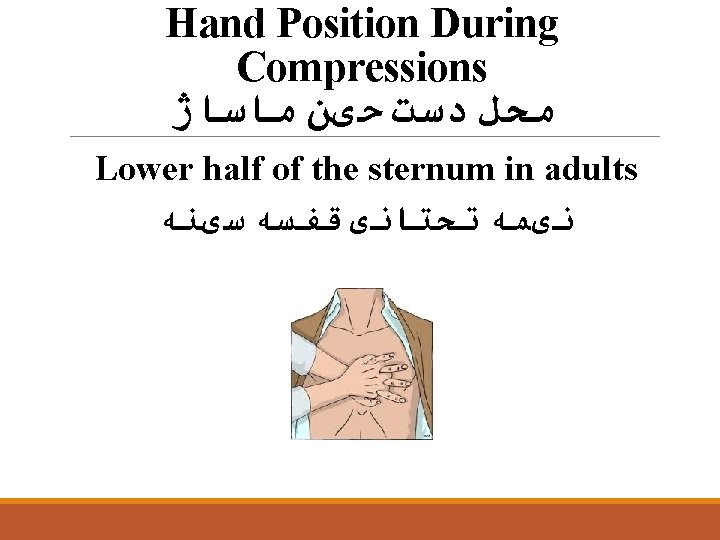 Hand Position During Compressions ﻣﺤﻞ ﺩﺳﺖ ﺣیﻦ ﻣﺎﺳﺎژ Lower half of the sternum in