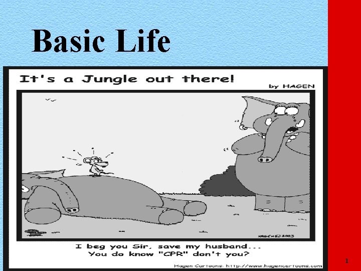 Basic Life Support 3 1 