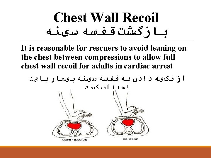Chest Wall Recoil ﺑﺎﺯگﺸﺖ ﻗﻔﺴﻪ ﺳیﻨﻪ It is reasonable for rescuers to avoid leaning