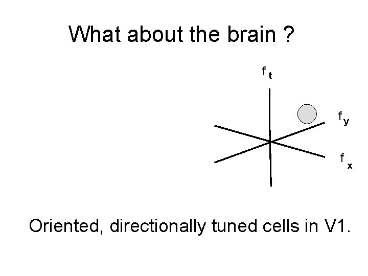 What about the brain ? ft fy f x Oriented, directionally tuned cells in