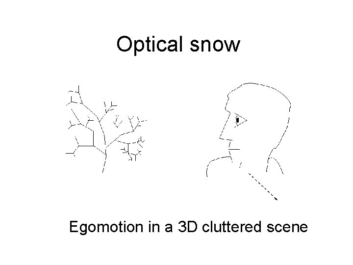 Optical snow Egomotion in a 3 D cluttered scene 