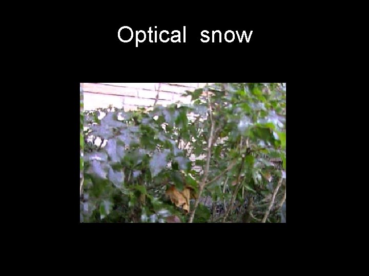 Optical snow 