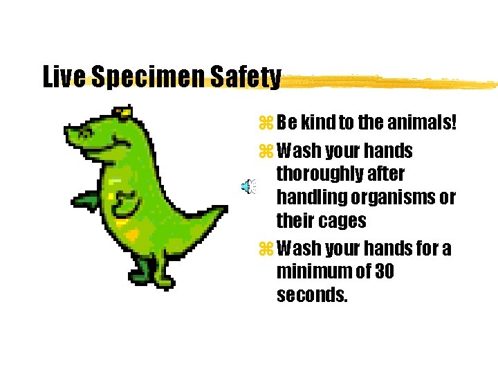 Live Specimen Safety z Be kind to the animals! z Wash your hands thoroughly