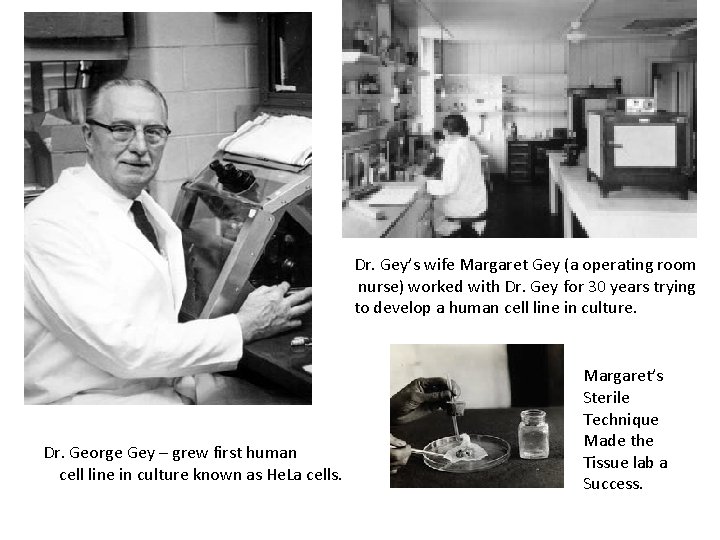 Dr. Gey’s wife Margaret Gey (a operating room nurse) worked with Dr. Gey for Dr. Gey’s wife Margaret Gey (a operating room nurse) worked with Dr. Gey for