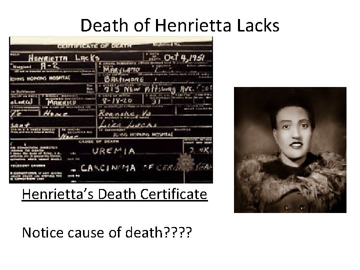 Death of Henrietta Lacks Henrietta’s Death Certificate Notice cause of death? ? Death of Henrietta Lacks Henrietta’s Death Certificate Notice cause of death? ?